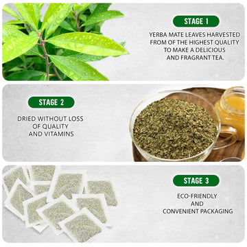 Yerba Mate Tea - Green Cut & Sifted - Unsmoked Energy Boost - 100 Tea Bags - Packed With Nutrients - Your Perfect Coffee Replace