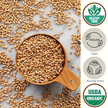 Be Still Farms Organic Hard Red Wheat Berries (4.8Lb) - Healthy Diet Whole Grains Bulk - Ideal For Soups, Salads, Flour, Bread -