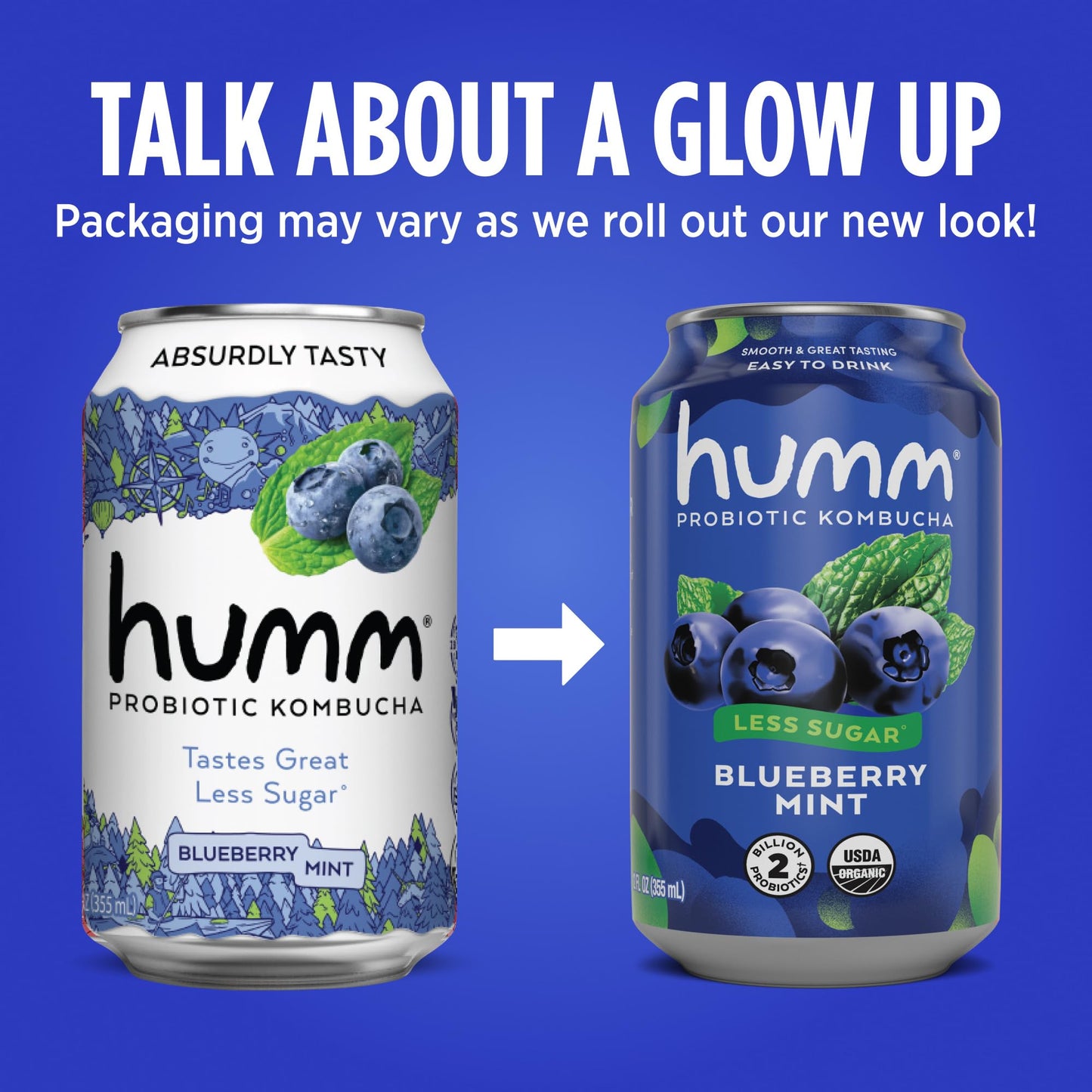 Humm Kombucha Blueberry Mint - Organic, Vegan & Gmo-Free (12 Pack)