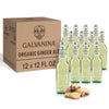 Galvanina - Flavor Blendger Ale - Top-Grade Organic Italian Sparkling Fruit Beverage - 12 Fl Oz (Pack Of 12)