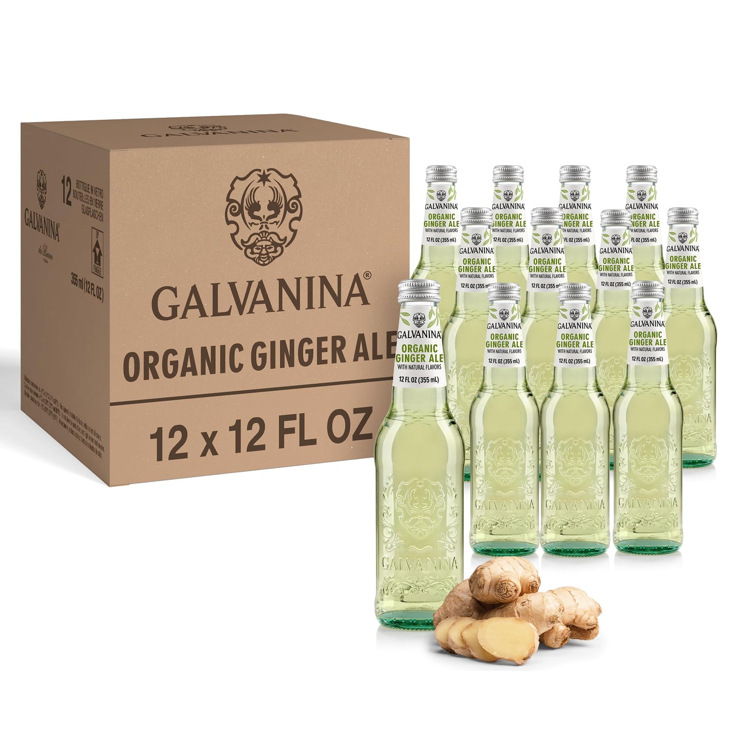 Galvanina - Flavor Blendger Ale - Top-Grade Organic Italian Sparkling Fruit Beverage - 12 Fl Oz (Pack Of 12)