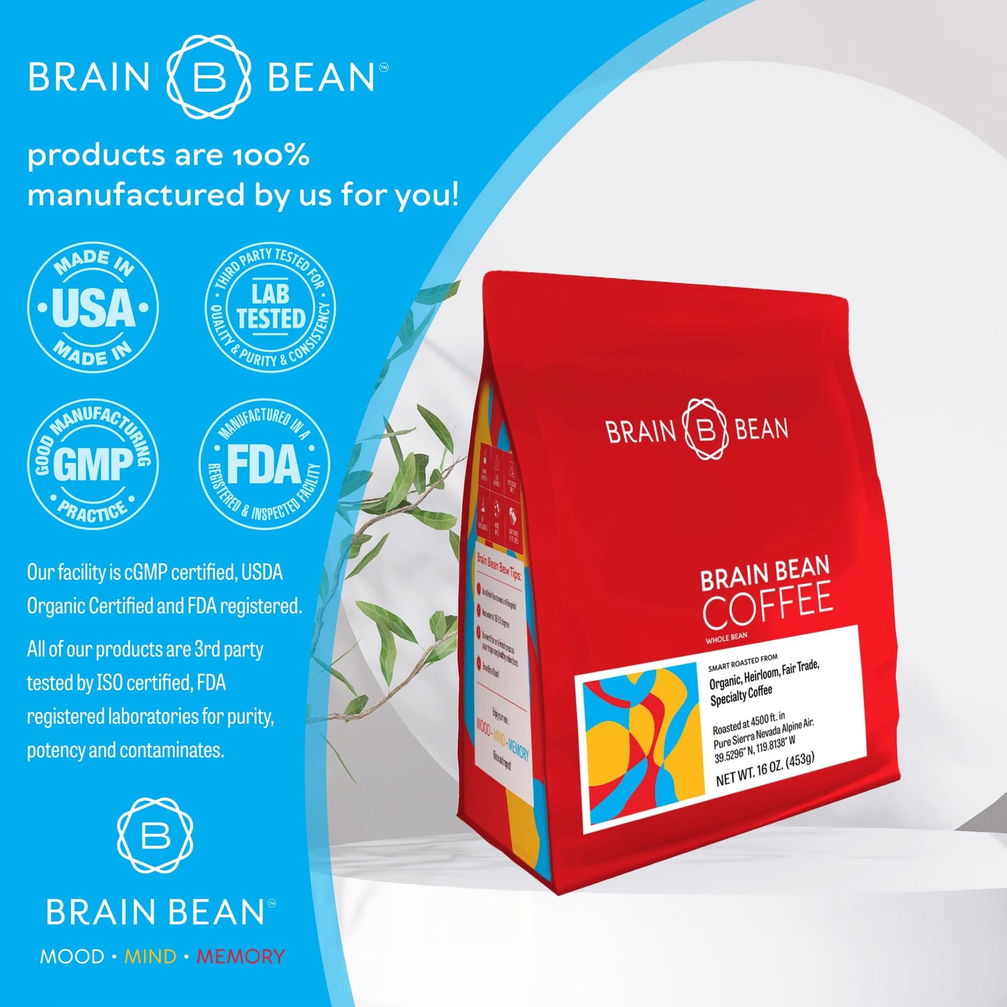 Brain Bean Organic Coffee | Smooth Taste, Antioxidant Rich & Fair Trade | Whole Bean Medium Roast 16 Oz