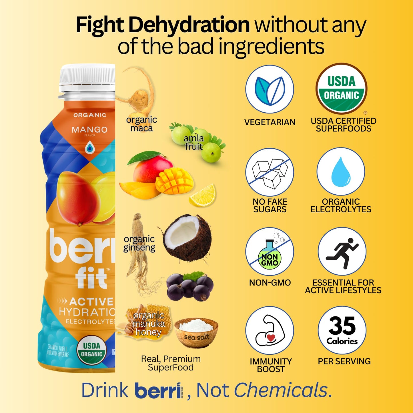 Berri Fit Hydration - Organic Mango Flavor Natural Sports Drink - Plant-Based Electrolyte Beverage - Low Calorie, Paleo Coconut