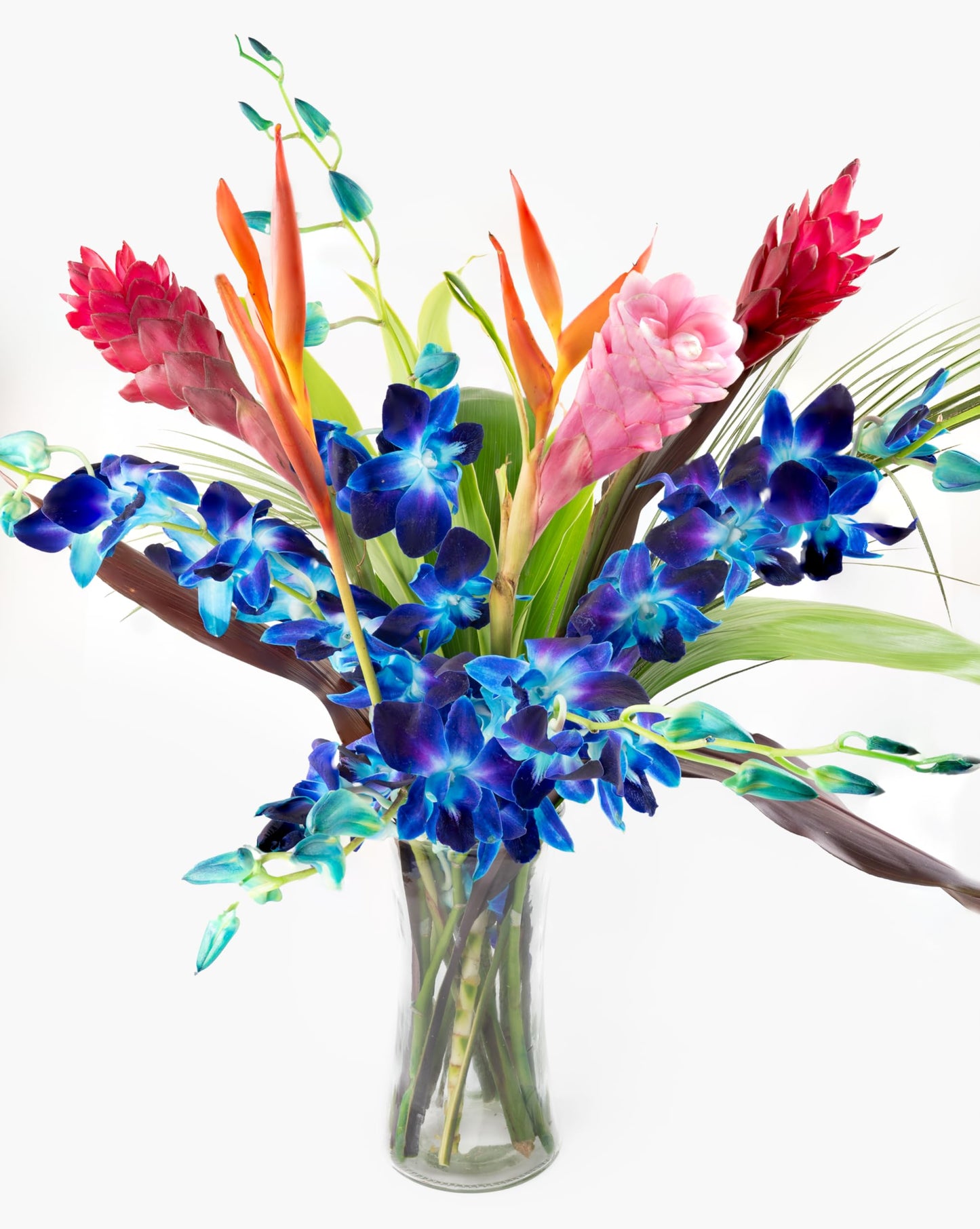 Fresh Orchids And Tropical Flower Bouquet Perfect For Birthdays Easter Mother S Day Anniversaries Gifts Etc. (Multicolor - Blue)