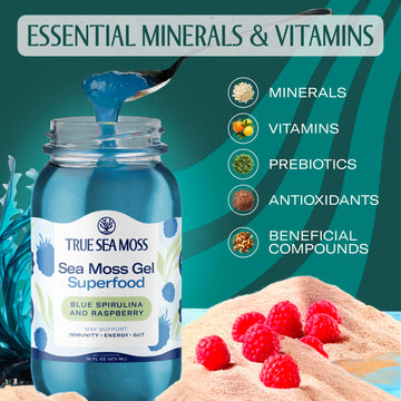 TrueSeaMoss Sea Moss Gel - Made in USA - Wildcrafted Seamoss, Fruits & Jarred Vegetables - Blue Spirulina, Pack of 2 (Labels may