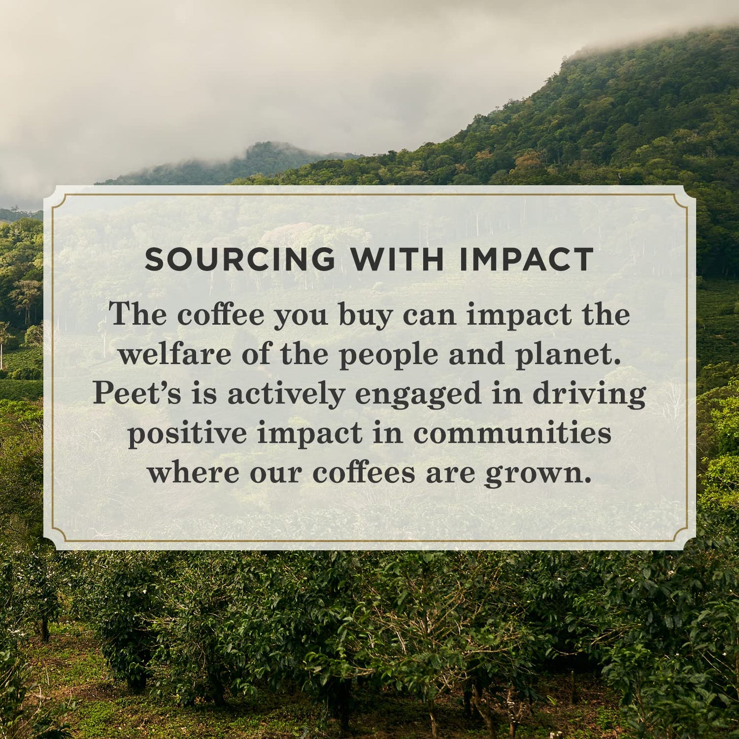 Peet'S Coffee, Dark Roast Ground Coffee - House Blend 12 Ounce Bag