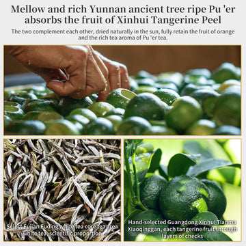 Xixicha White Tea Premium Tangerine Peel White Tea 9.87Oz(280G) Xiao Qing Gan White Tea Xinhui Chenpi White Citrus Tea Fuding Wh