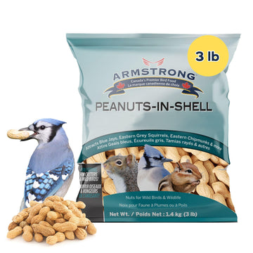 Armstrong Bird Food Peanuts-In-Shell, 3 Pounds - For Blue Jays, Eastern Grey Squirrels And Eastern Chipmunks For Outside Feeders