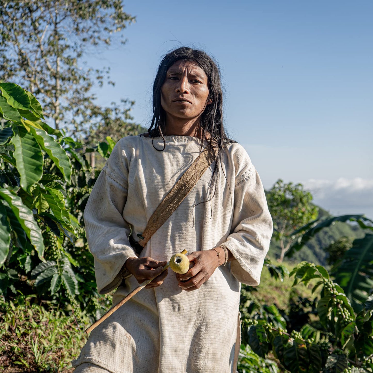 The Younger Brothers Wild Colombian Coffee, Kogi Indigenous 'Wild Organic' Whole Bean Coffee From Sierra Nevada De Santa Marta,