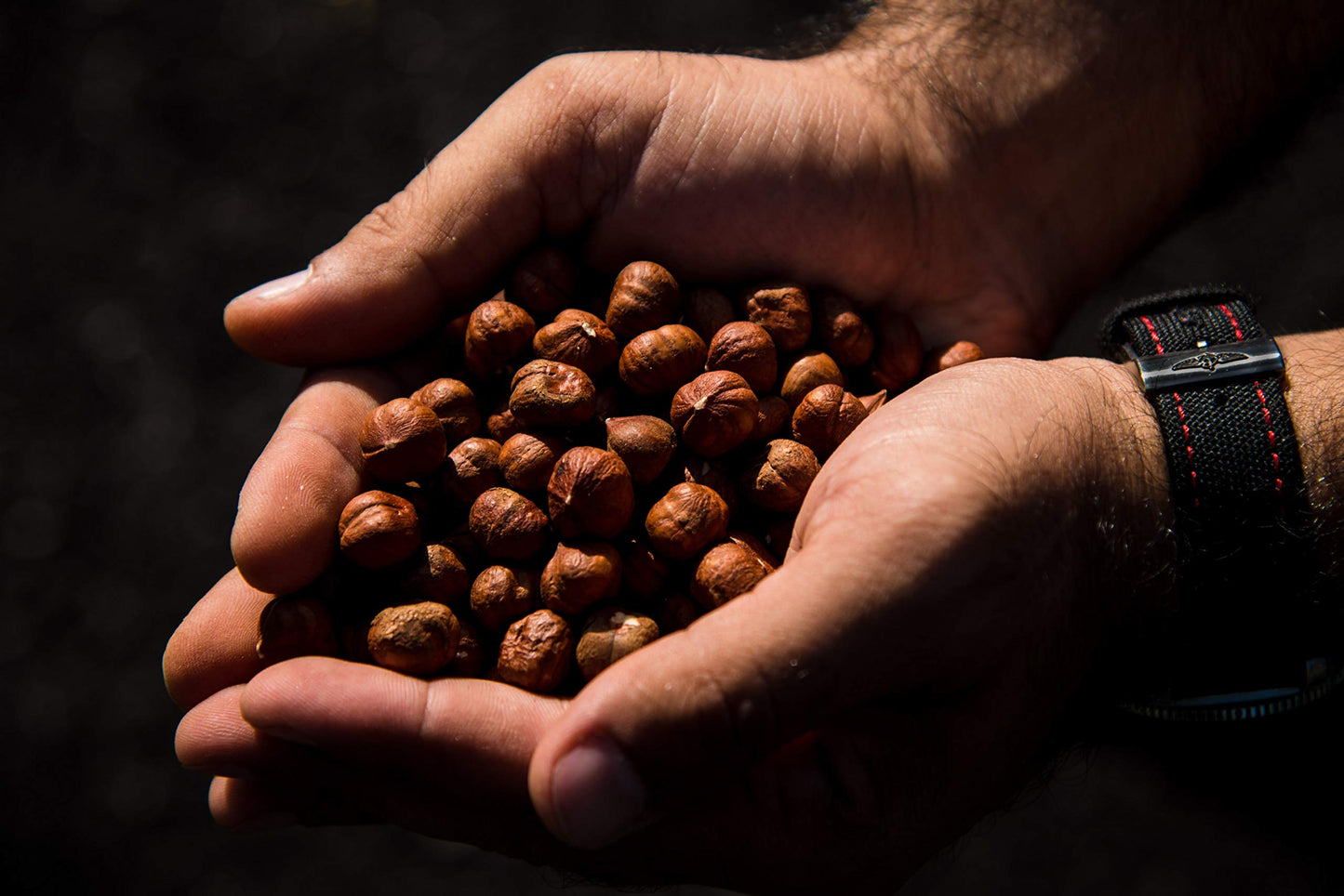 Aznut Raw Hazelnuts Filbert Nuts, Shelled, Gluten Free, Fresh, Premium Quality 100% Natural Non-Gmo Project Certified, Kosher Certified, Great Snacks, Resealable Bag 2 Lb