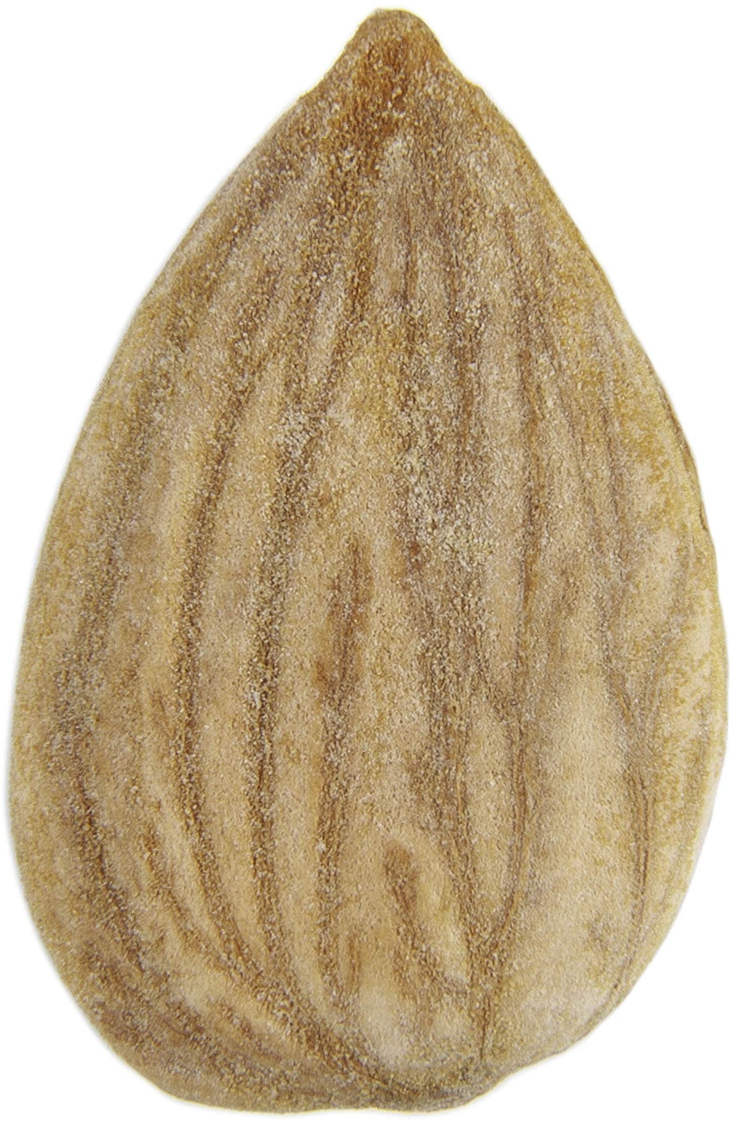 ZF SWEET APRICOT KERNELS (6x5.30)