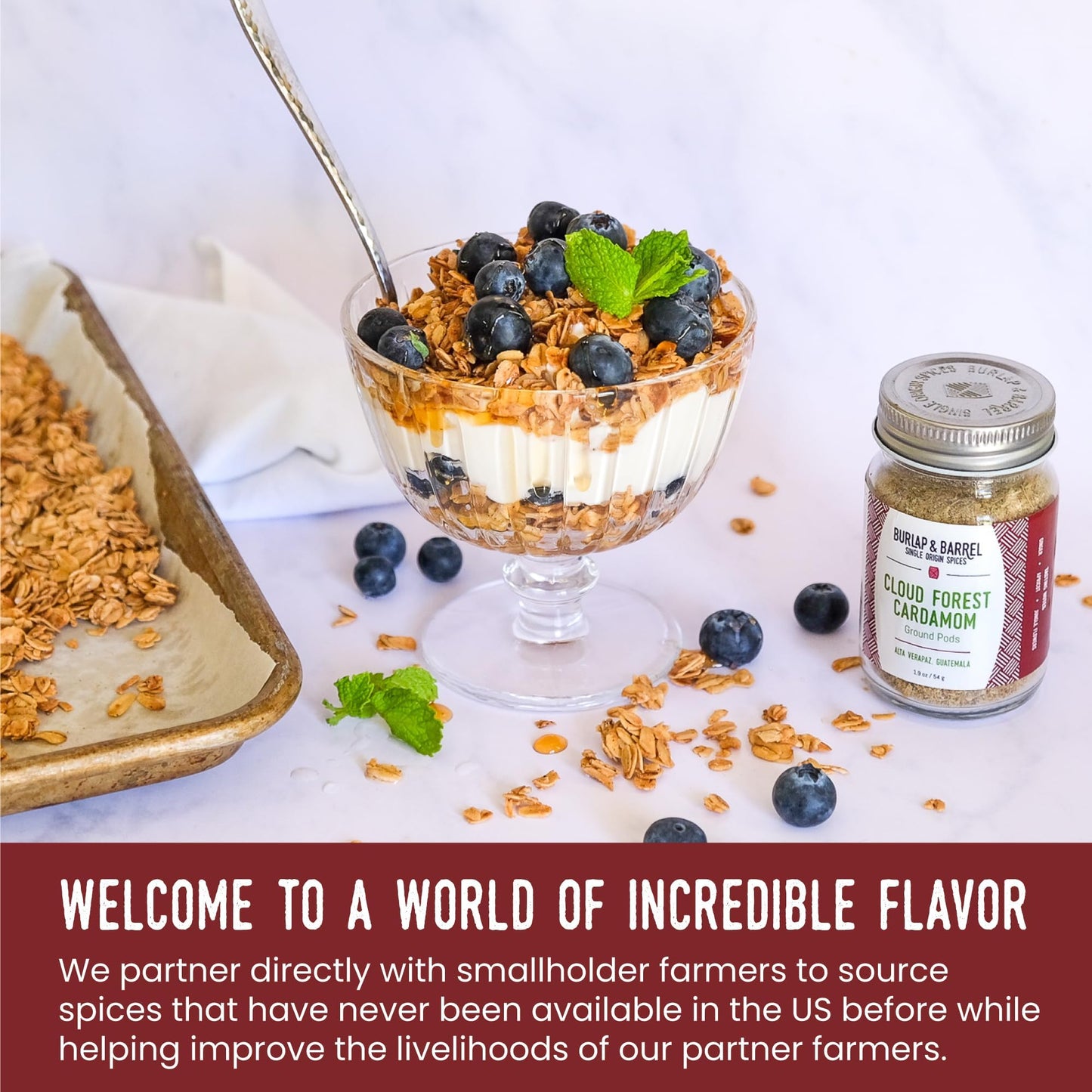 Burlap & Barrel Cardamom Pods - Sweet & Tart Flavor Notes - 1.9oz Glass Jar