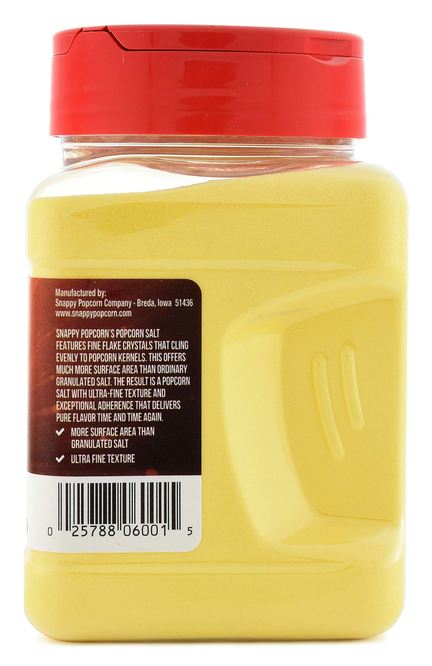 Snappy Buttery Flavored Theater Popcorn Salt, 19 Ounce