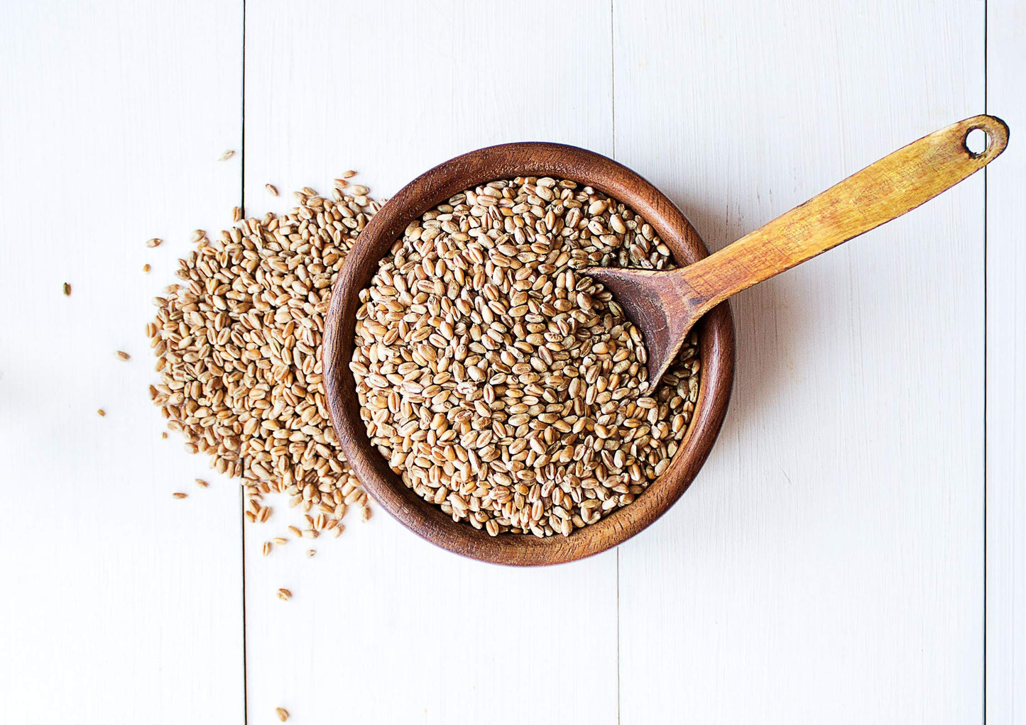 Food to Live - Organic Hard Red Wheat Berries, 1 Pound Non-GMO, Kosher, Raw, Sproutable, Vegan, Sodium and Sugar Free