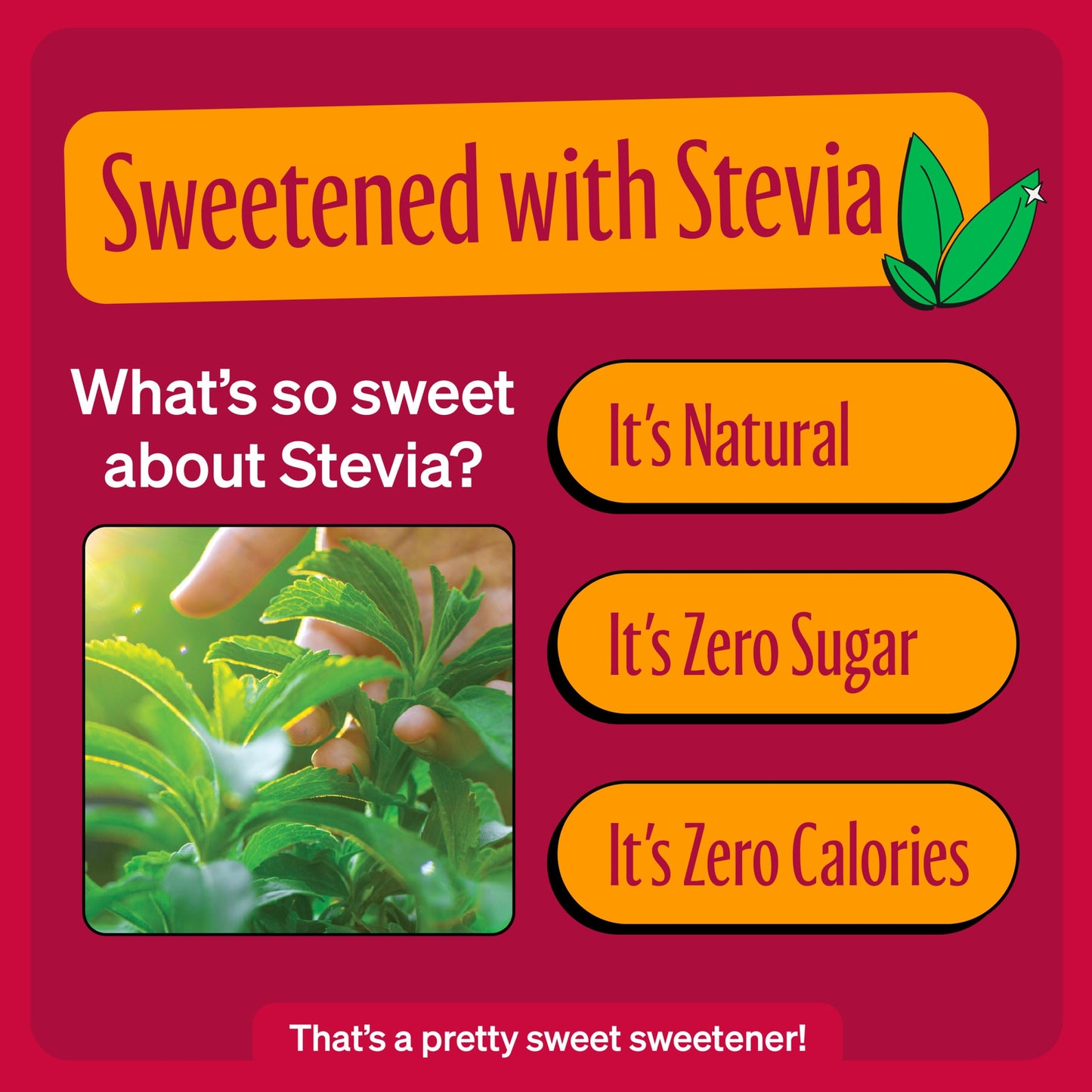 Zevia Zero Sugar Energy Drink, Mango Ginger, 12 oz Cans (12-Pack) - Naturally Sweetened, Zero Calorie Sugar Free Energy - Non-GM