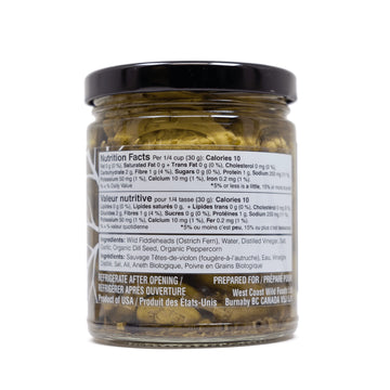 Wild Pickled Fiddleheads (Dill | 250ml - 8oz) | Local | West Coast Wild Foods