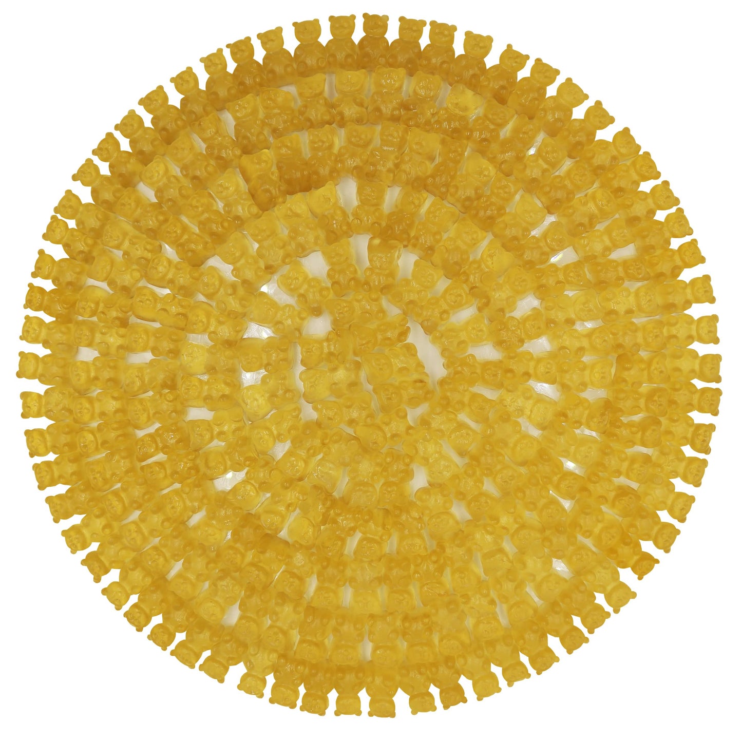 FirstChoiceCandy Gummy Bears (Pineapple, 1 Pound (Pack of 1))