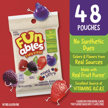 Funables Fruit Snacks, Mixed Berry Snacks, 2.5 Ounce Pouches (Pack of 48)