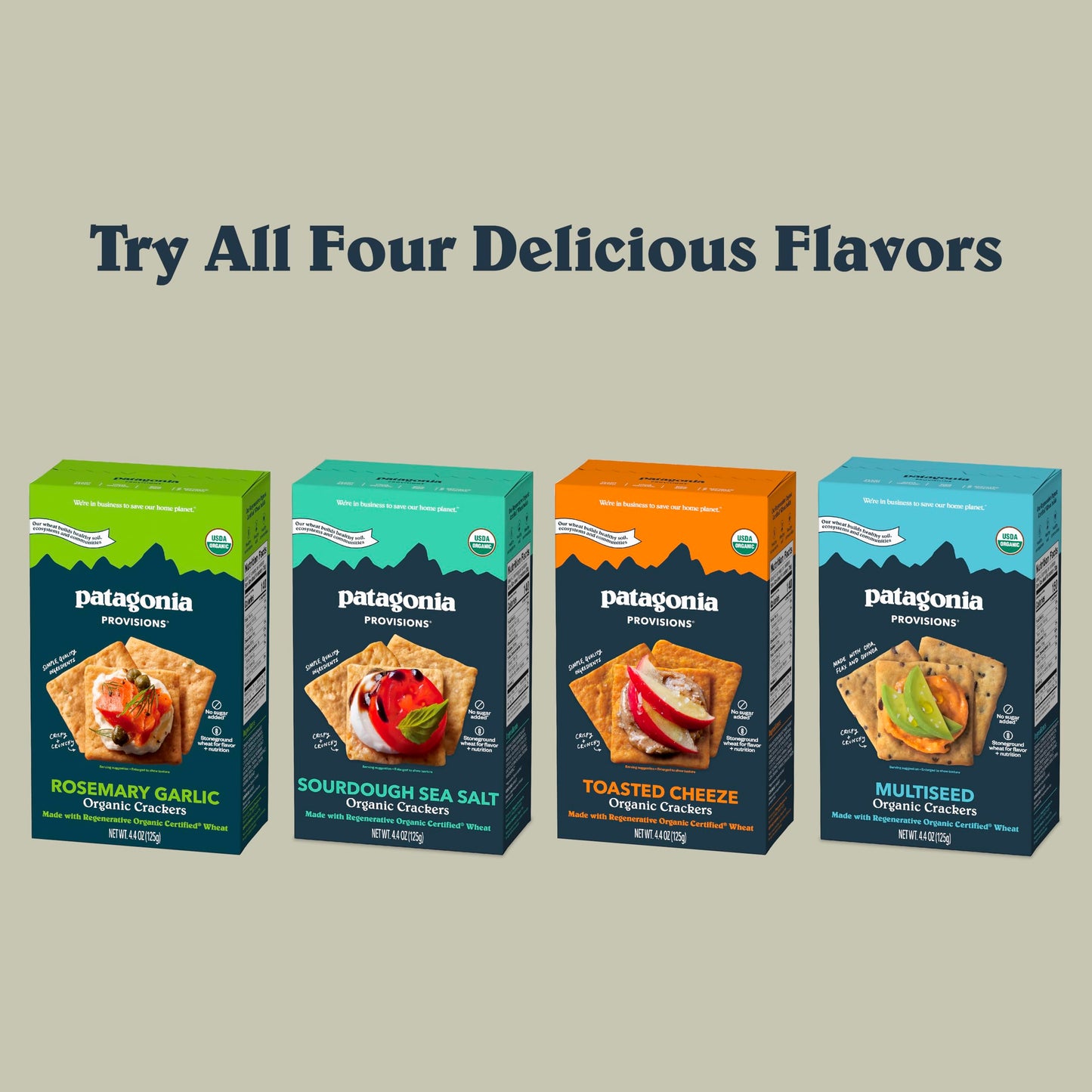 Patagonia Provisions Organic Sourdough Sea Salt Ers (3 Pack) – 3G Plant Protein Per Serving – Made With Wheat Flour & Sea Salt – Non-Gmo, No Added Sugar - Crispy & Crunchy