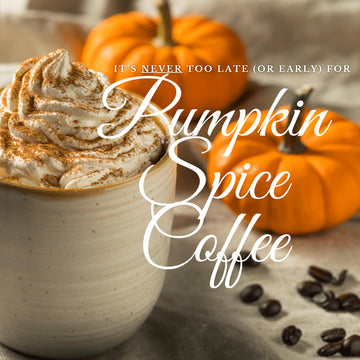 New England Coffee Pumpkin Spice Medium Roast Ground Coffee, 11Oz Bag (Pack Of 1)