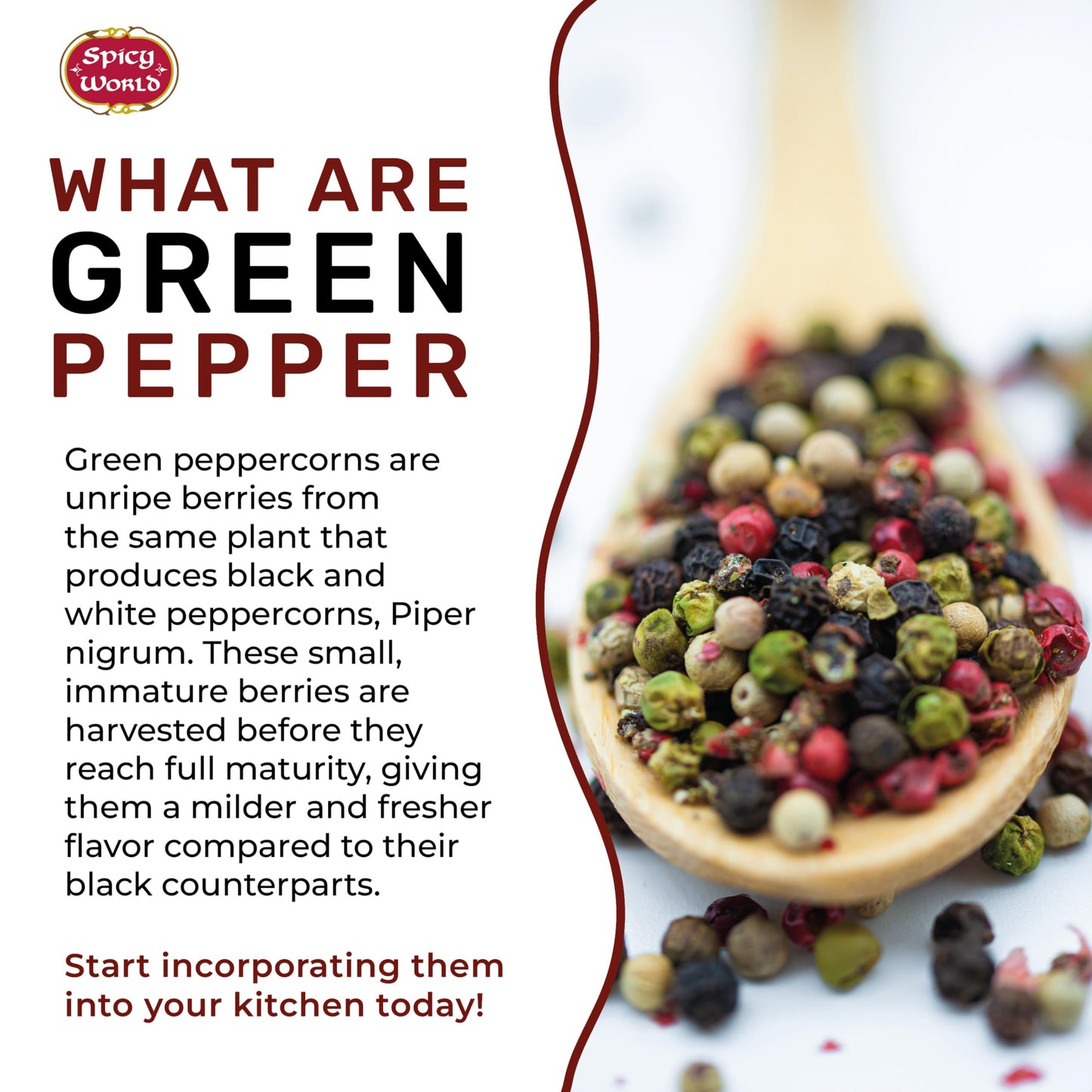 Spicy World Whole Green Peppercorns 4 Oz Bag - Steam Sterilized & All Natural