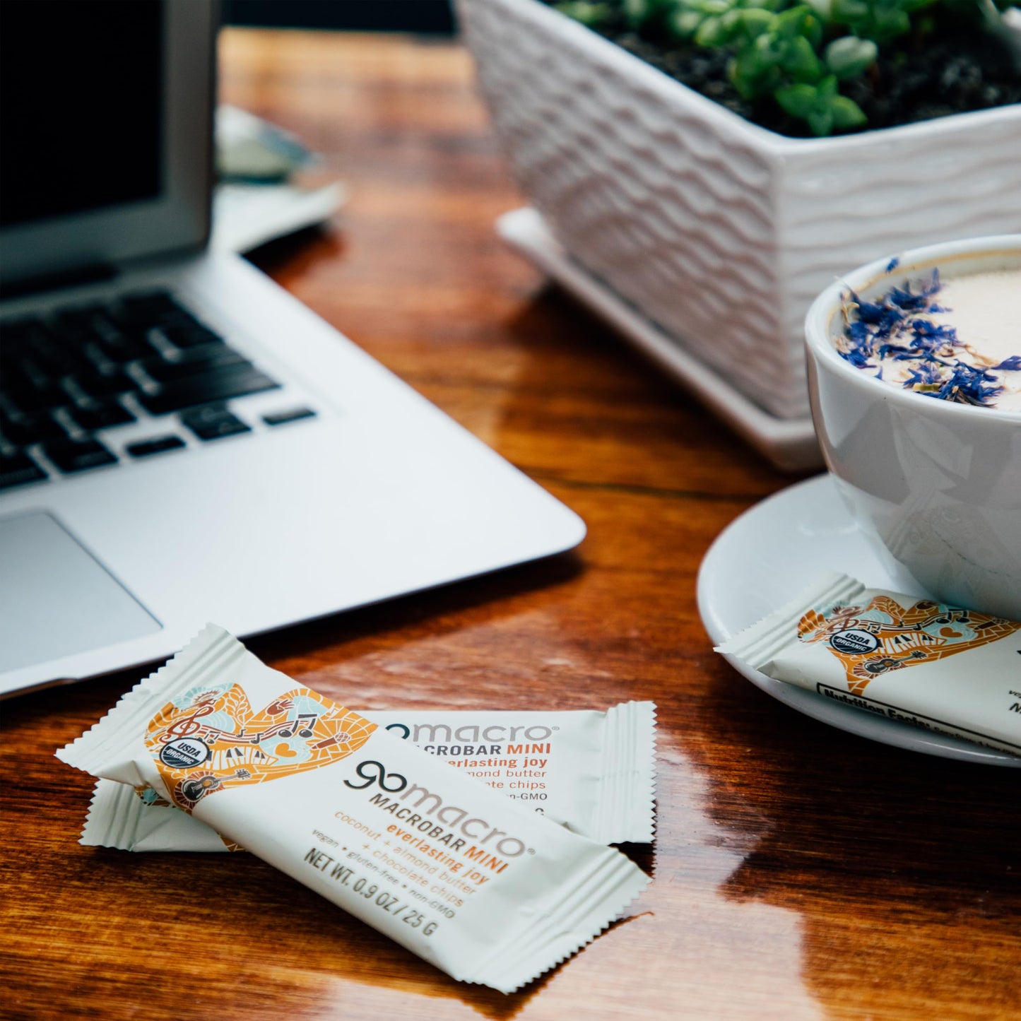 Gomacro Macrobar Mini Organic Vegan Snack Bars - Coconut + Almond Butter + Chocolate Chips (0.90 Ounce Bars, 24 Count)