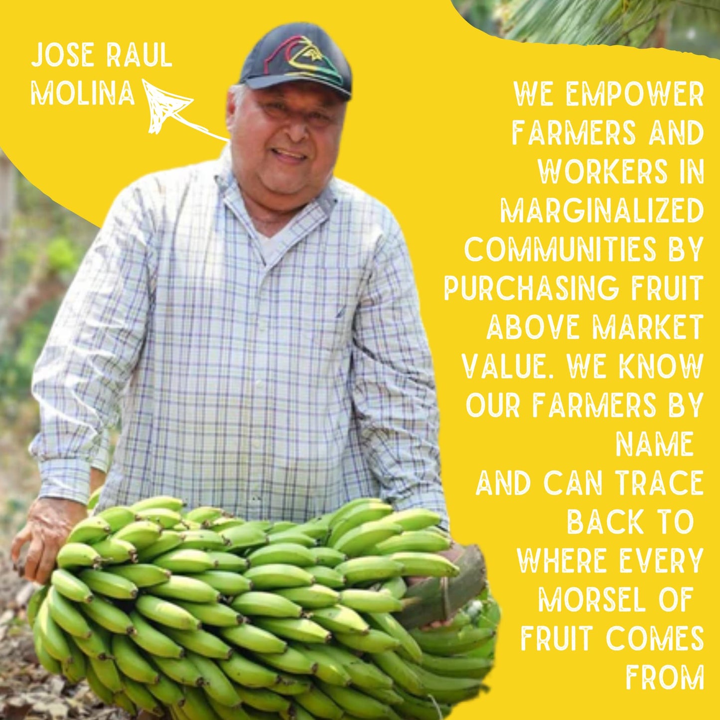 Sol Simple Regenerative Organic Certified, Dried Banana | 3Oz Snack Pack (3 Bags Total) | Dried Fruit | Vegan | Non-Gmo | No Add