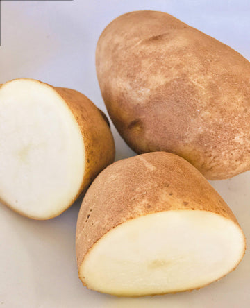 Kejora Fresh Russet Potatoes - Non Gmo & Gluten Free - 8 Lbs