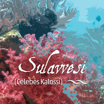 Sulawesi, Celebes Kalossi Coffee, Fresh Roasted, Whole Bean, 16 Ounces