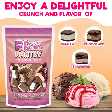 Freeze Dried Ice Cream Sandwich Bites - 2 Pack Neapolitan - Crunchy & Sweet Snack 2.5Oz Space Ice-Cream Pack Dehydrated Resealab