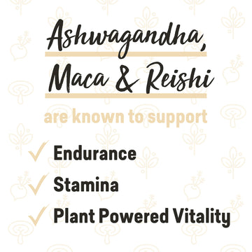 Rebbl Cold-Brew Coffee Protein, 12 Fl Oz