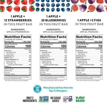 Thats It. Variety, 100% Natural Real Fruit Bar, High Fiber Vegan, Gluten Free Healthy Snack, Paleo For Children & Adults, Non Gm