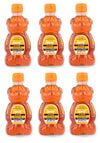 Nature's Goodness Teddy Bear Golden Wildflower Honey, Teddy Bear, 12 Ounce (Pack of 6)