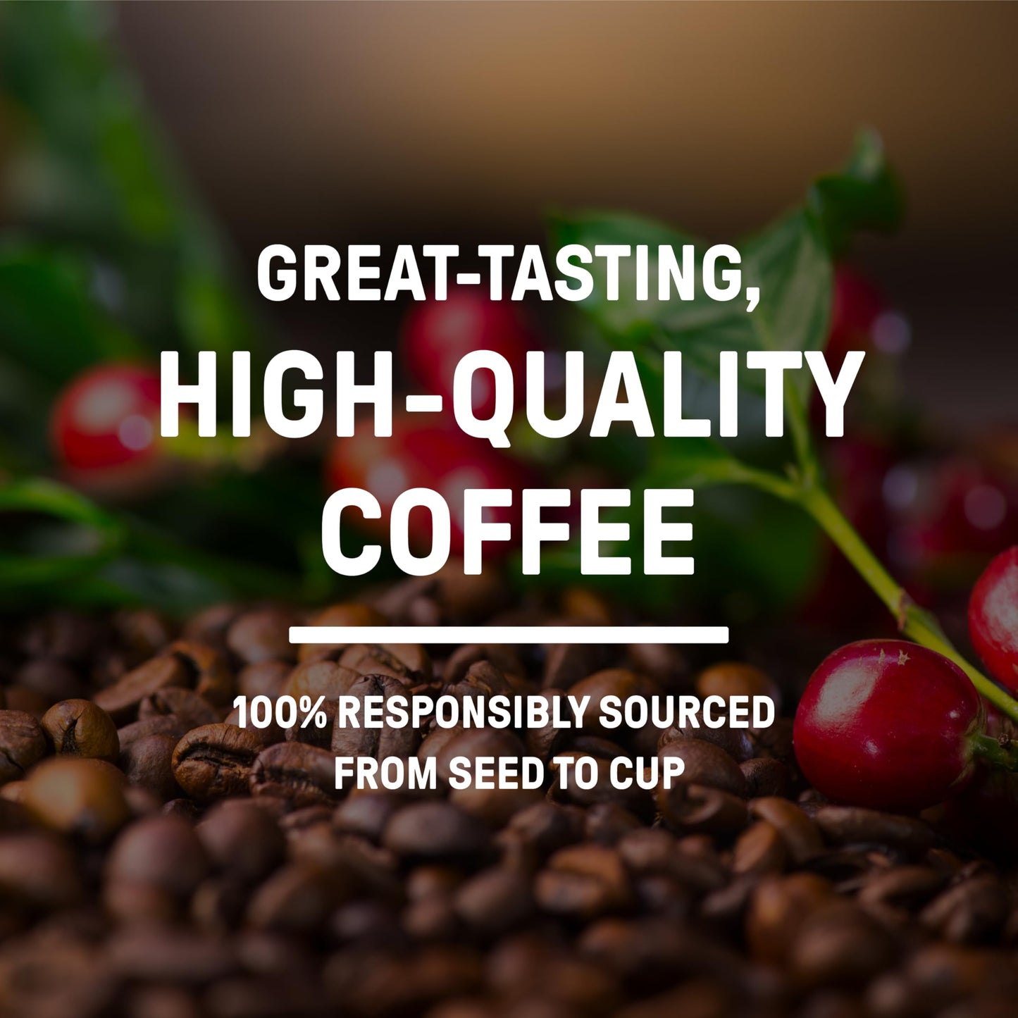 Community Coffee Grandmas Sugar Cookie Keurig K-Cup Pods Limited Edition Holiday Flavor Natural Ingredients 10 Count (Pack of 1)