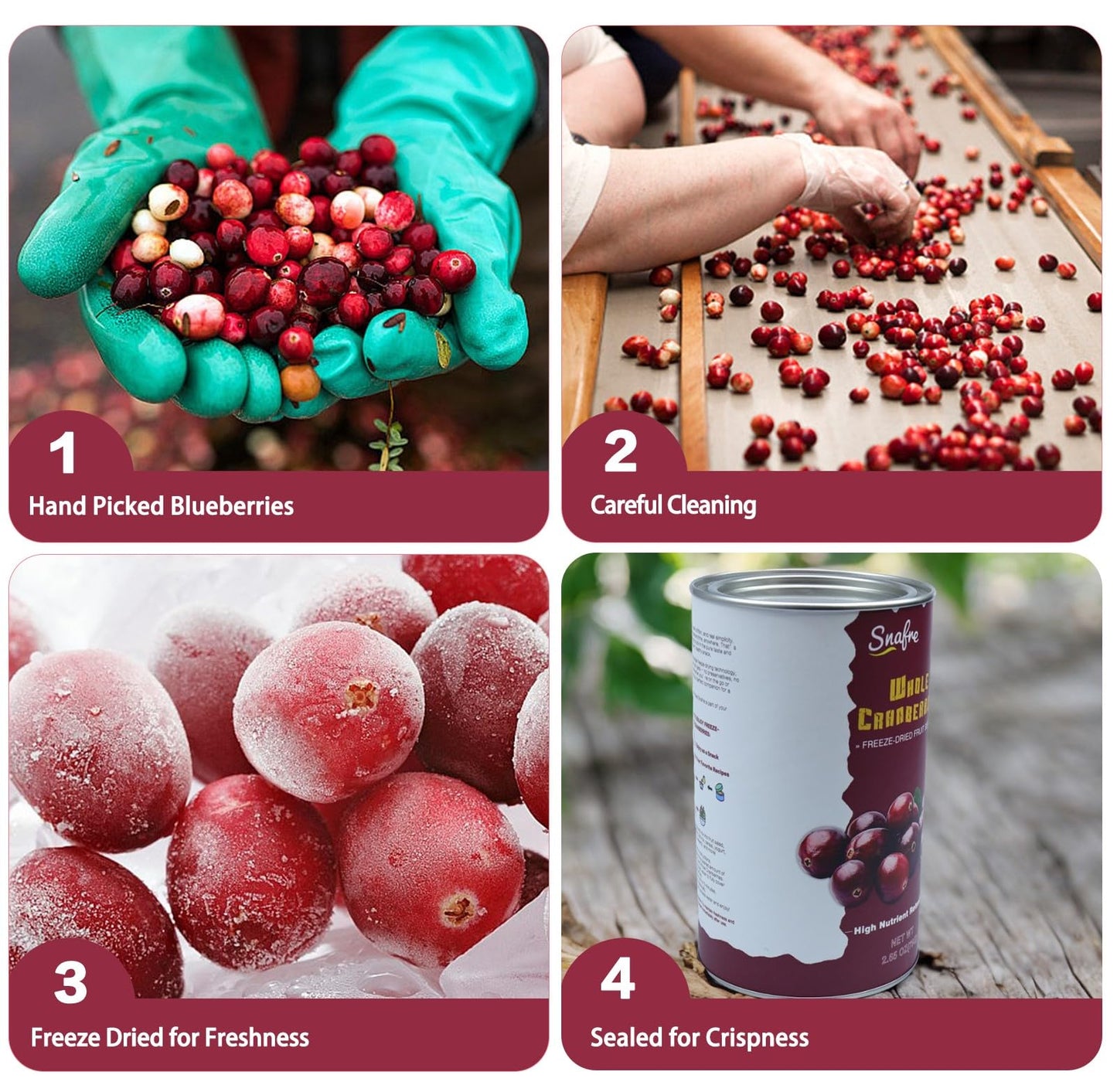 Freeze Dried Cranberries, 2.64Oz/75G Whole Frozen Cranberries, Freeze Dried Fruit, Camping Food & He-Althy Fruit Snacks, 100% Na