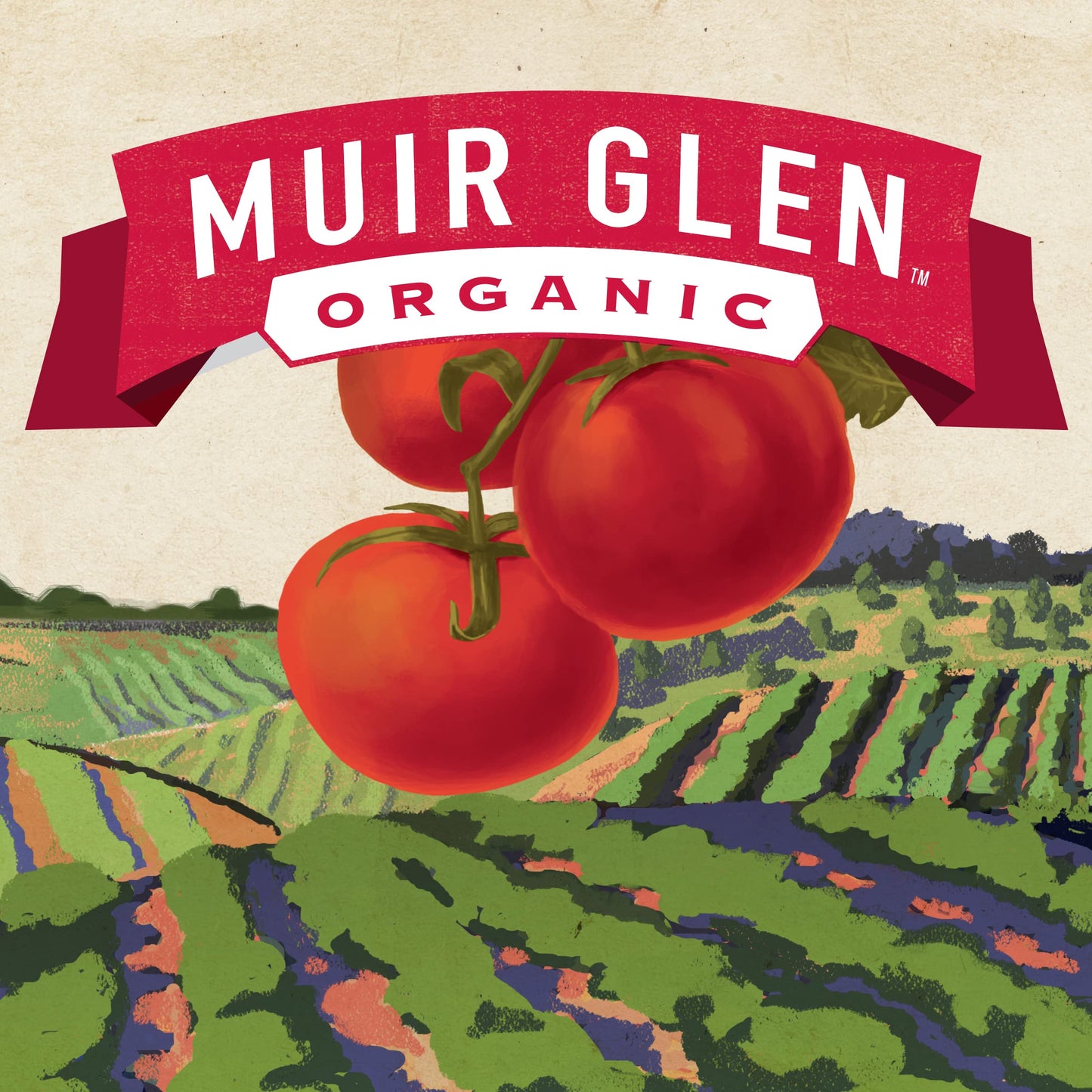 Muir Glen Organic Whole Peeled Canned Tomatoes, 28 Oz. (Pack Of 12)