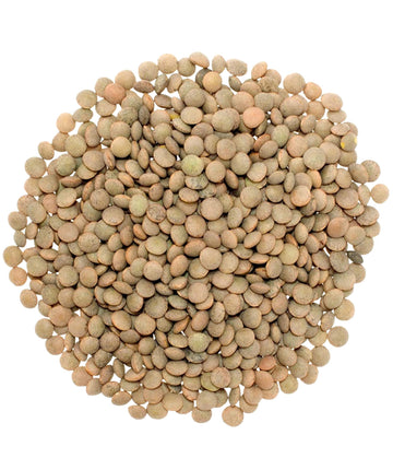 Small Brown Lentils | 15 Lbs | Family Farmed In Washington State | 100% Desiccant Free | Non-Gmo Project Verified | 100% Non-Irr