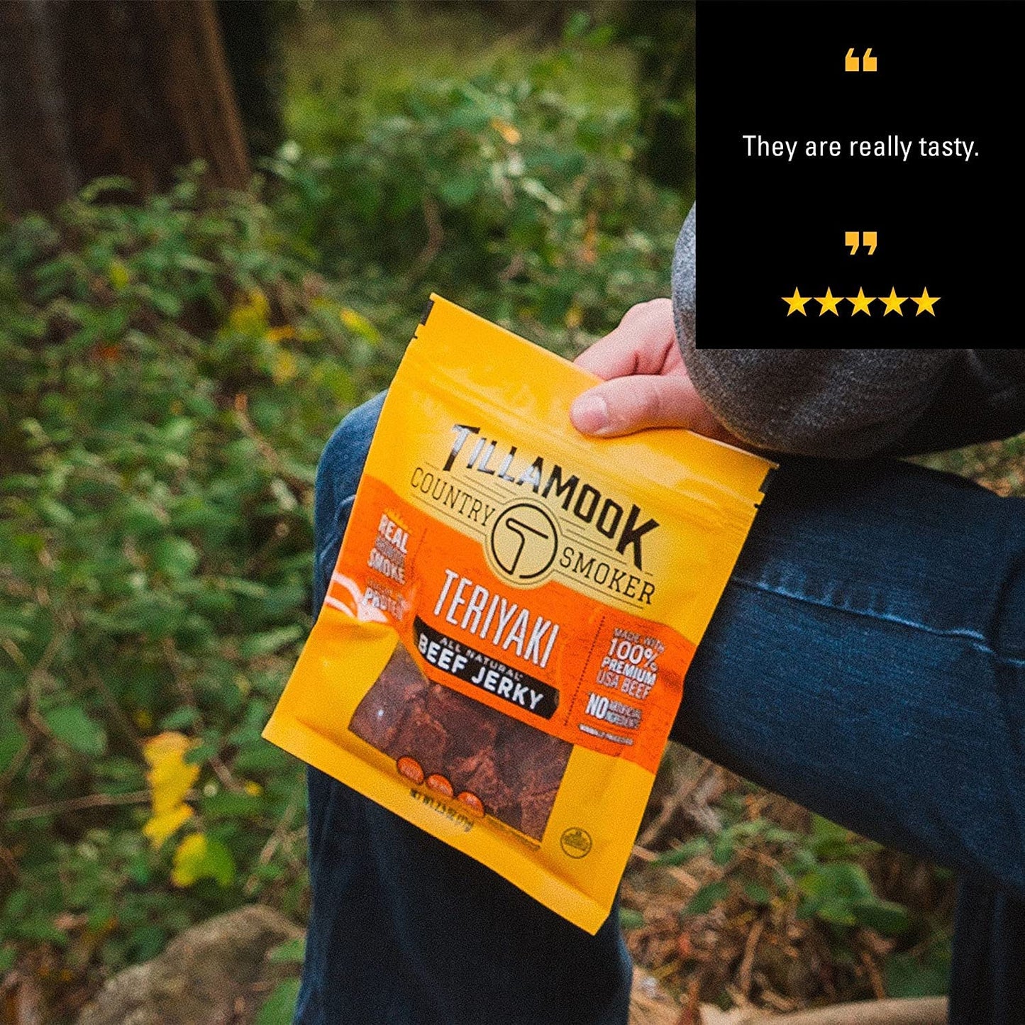 Tillamook Country Smoker Beef Jerky, Teriyaki Flavor, 2.5 Ounce, Pack of 1, Real Hardwood Smoked, Model 051943287027