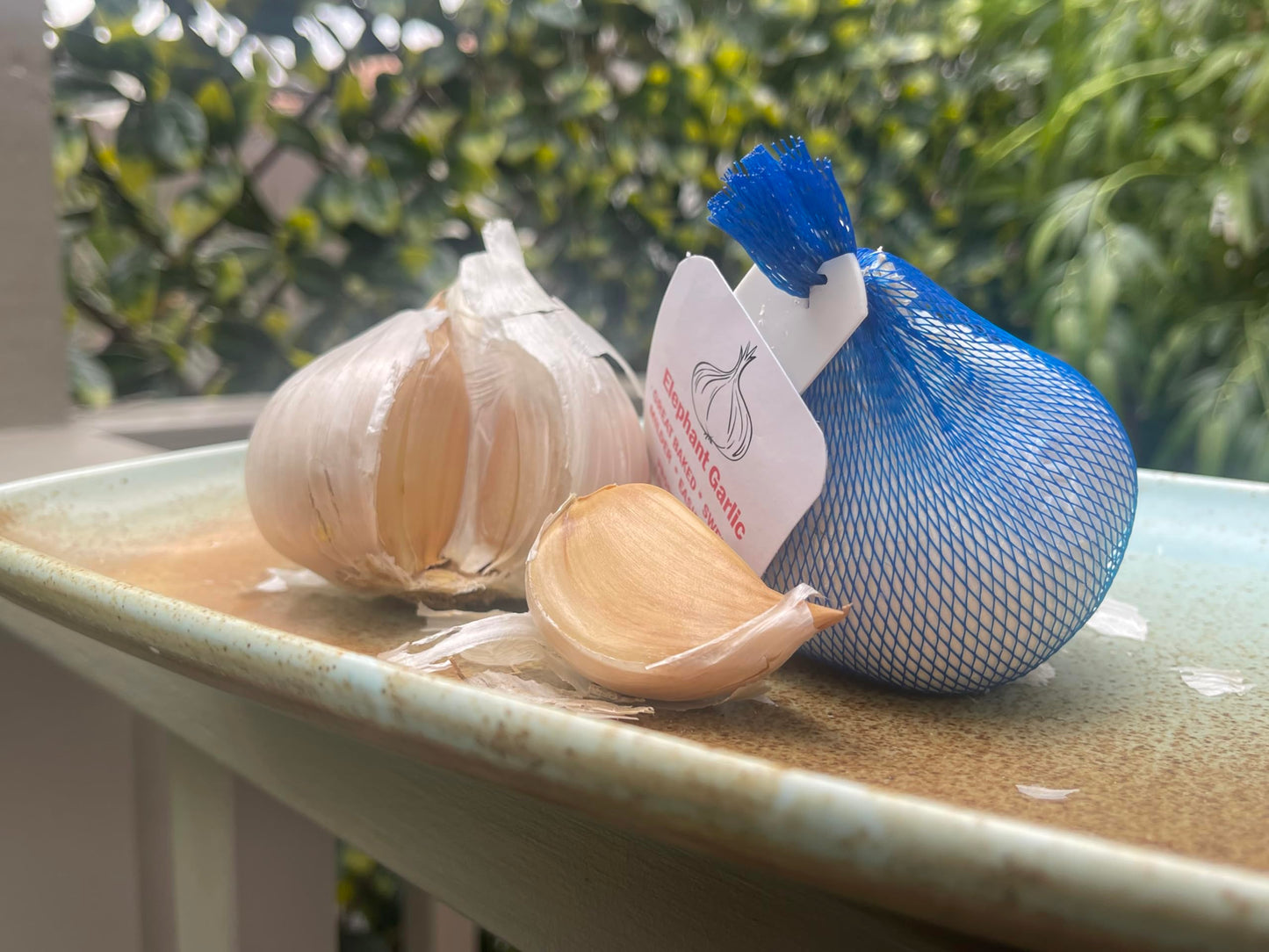 Elephant Garlic. Grown In California. 2 Huge Bulbs. Delicious Milder, Mellower Flavor. Great For Cooking, Eating And Planting. G