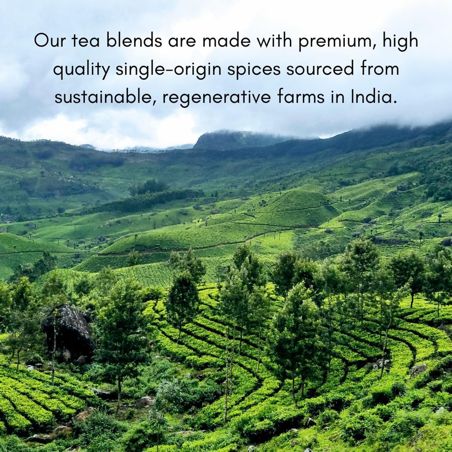 The Chai Box - Sweet Monsoon - Premium Chai Tea - Featured In Oprah'S Favorite Things - Loose Leaf Black Tea W/Sweet Mangoes, Lu