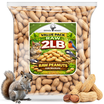 Office Roast Raw Peanuts in Shell 2 lb Bag - Unsalted, Natural & Healthy Snack - Plain Peanuts for Squirrels, Birds & Wildlife F