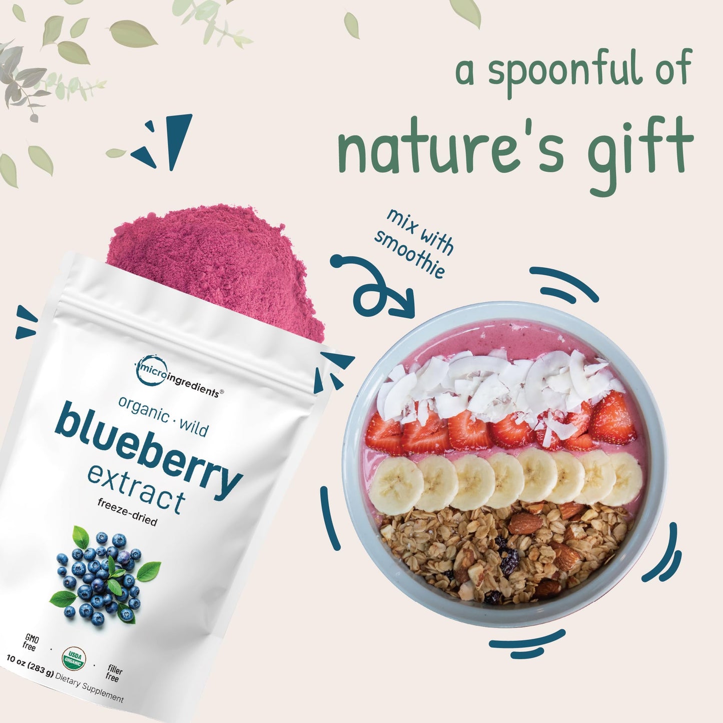 Organic Blueberry Extract Powder, 10oz | 100% Natural Fruit Powder | Freeze-Dried Wild Blueberries Source | No Sugar & Additives