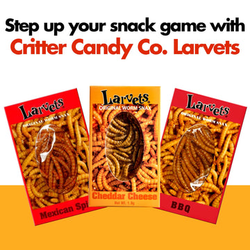 Hotlix Larvets Edible Bugs (3-Pack), Real Flavored Edible Larvae In Cheddar Cheese, Bbq, Mexican Cheese, Exotic Snacks, Edible I
