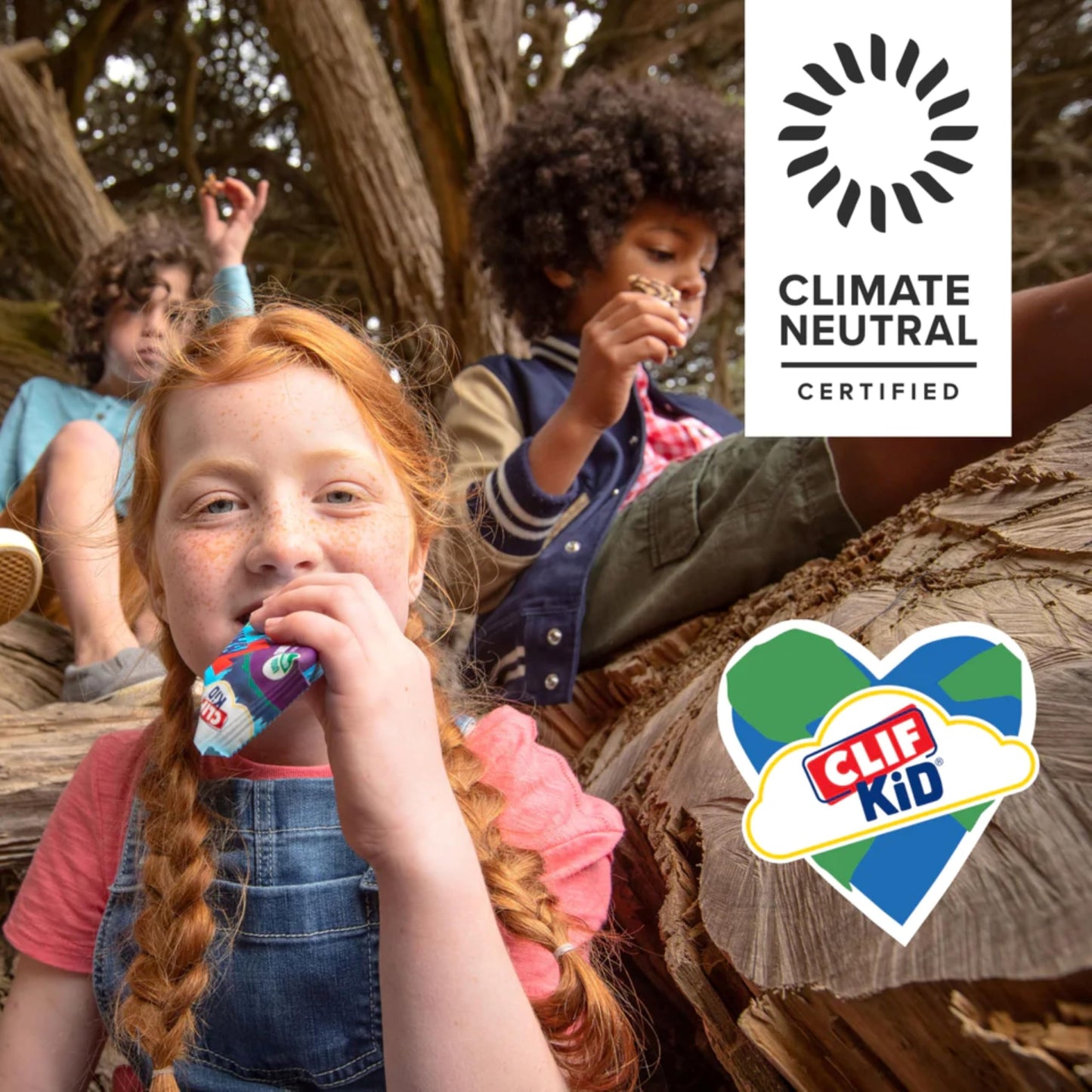 Zbar - Chocolate Chip - Soft Baked Snack Bars - Non-Gmo - 11G Whole Grains - Usda Organic Granola Bars (24 Pack)