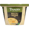 Panera Bread Broccoli Cheddar Soup, 16 oz