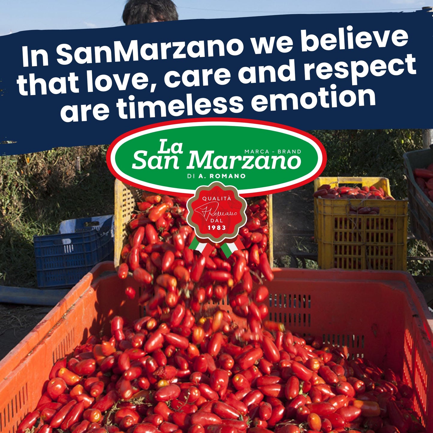 La San Marzano Tomato Basil Sauce, 24 Oz, Pasta Sauce Made In Italy, All Purpose Tomato Enhanced Quality, All Natural, Mediterranean Diet, Non Gmo, Vegan, Gluten Free