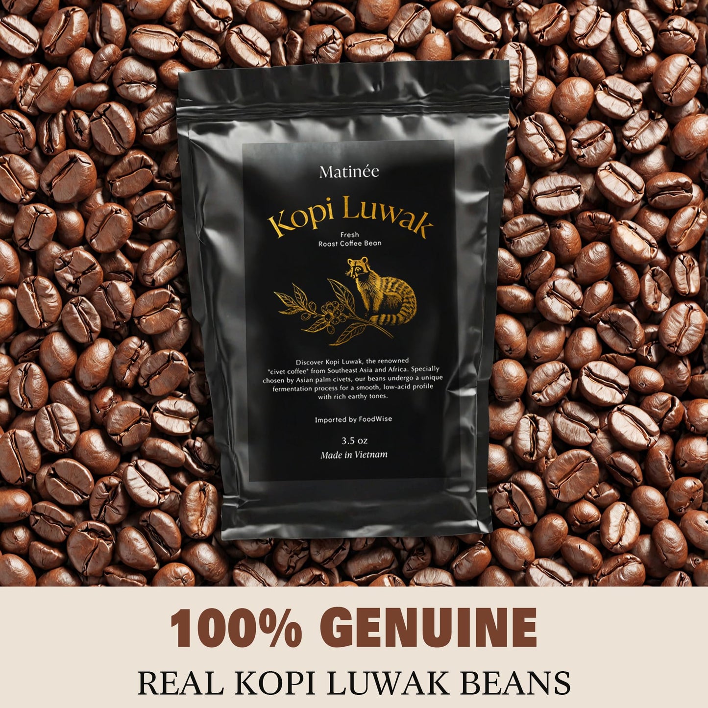 MATINÉE Wild Kopi Luwak Coffee Whole Beans, Medium Roast, 100g - Premium Vietnamese Coffee Gift, 3.5 Ounce Pack