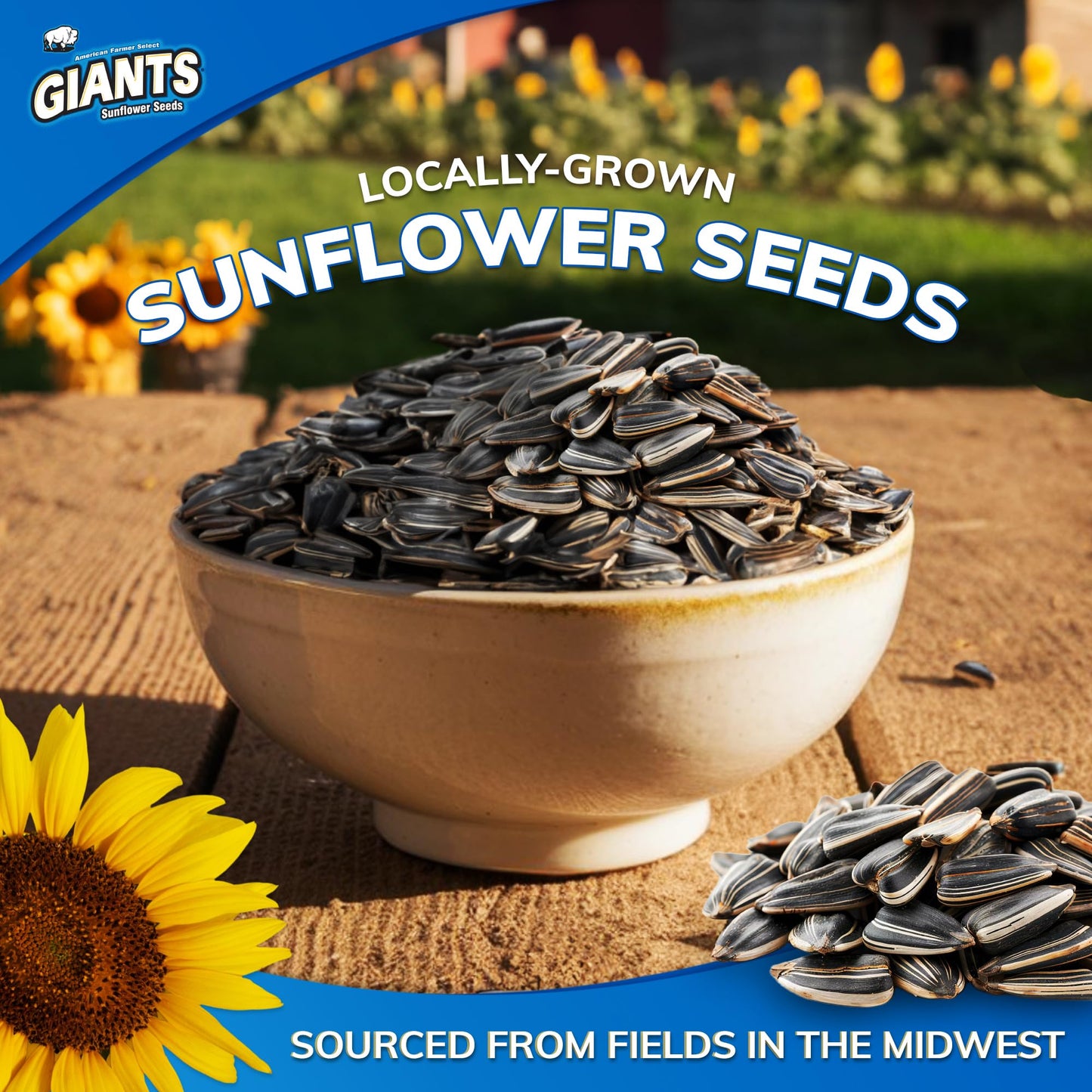 Giants Kettle Roast Sweet & Salty Sunflower Seeds - Sunflower Seeds Bulk, Sunflower Seed Snack To Eat, Roasted Sunflower Snack W