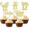 30PCS Happy 12th Birthday Cupcake Toppers Cheers to 12 Vintage 2013 Cupcake Picks Sweet 12 Twelve 12th Birthday Decorations for