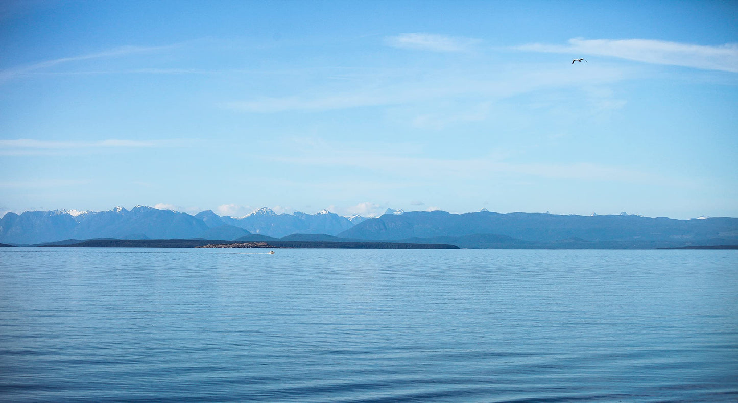 Flaky Sea Salt - 35Oz Of Large Gourmet Salt Flakes - Handcrafted On Vancouver Island - Perfect For Seasoning, Baking, Cooking, A